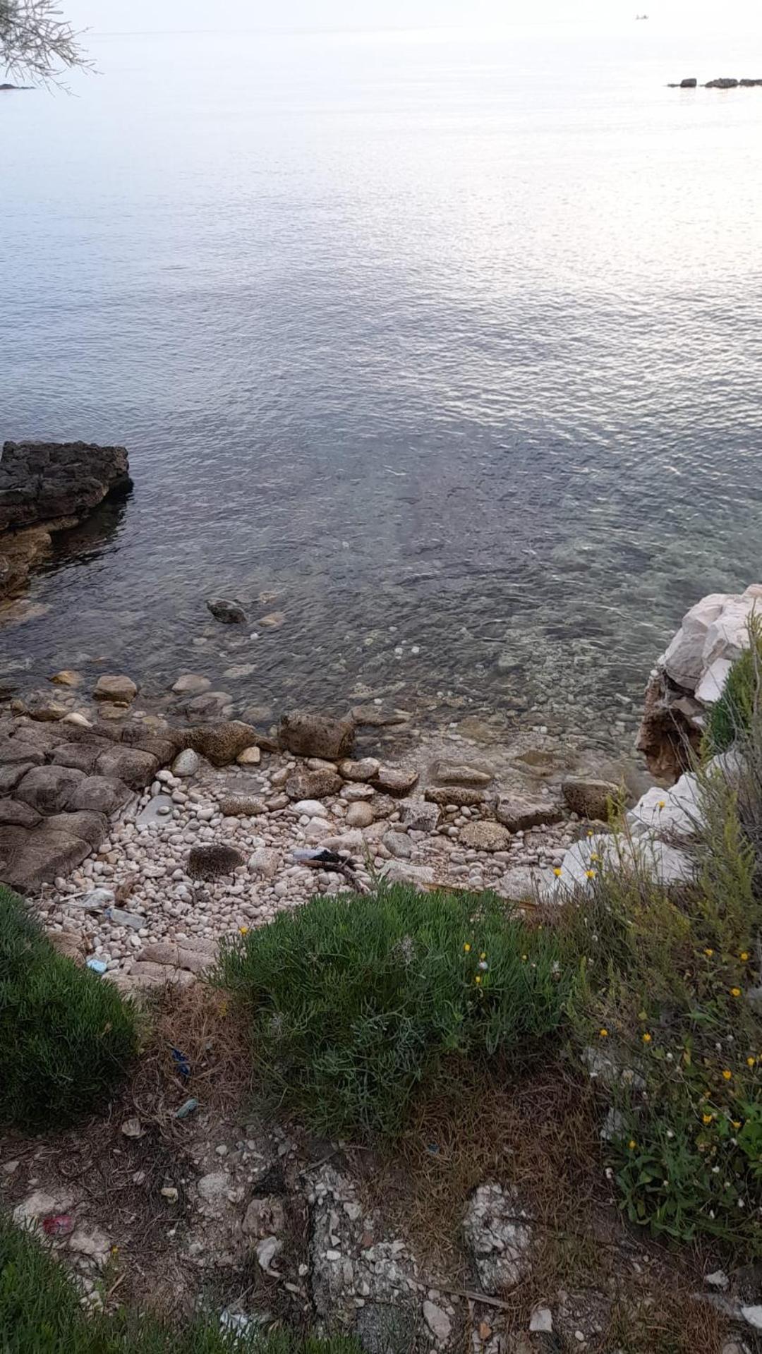 Affittacamere Il Labirinto Bisceglie Kültér fotó
